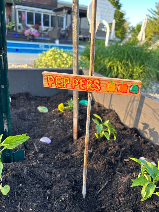 Fertilizing Your Vegetable Garden: Easy Tips for a Thriving Harvest