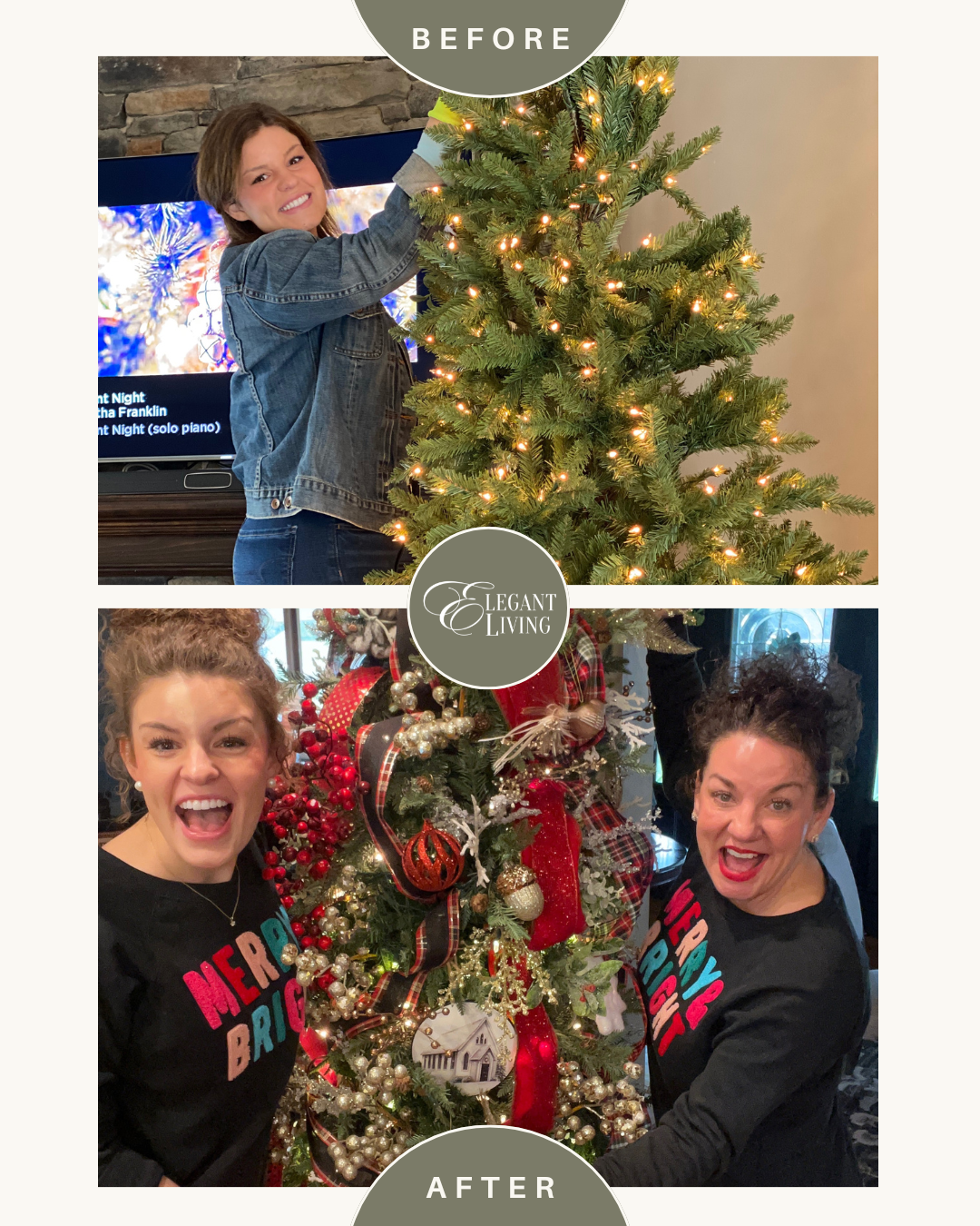 The Elegant Community Decorating Membership