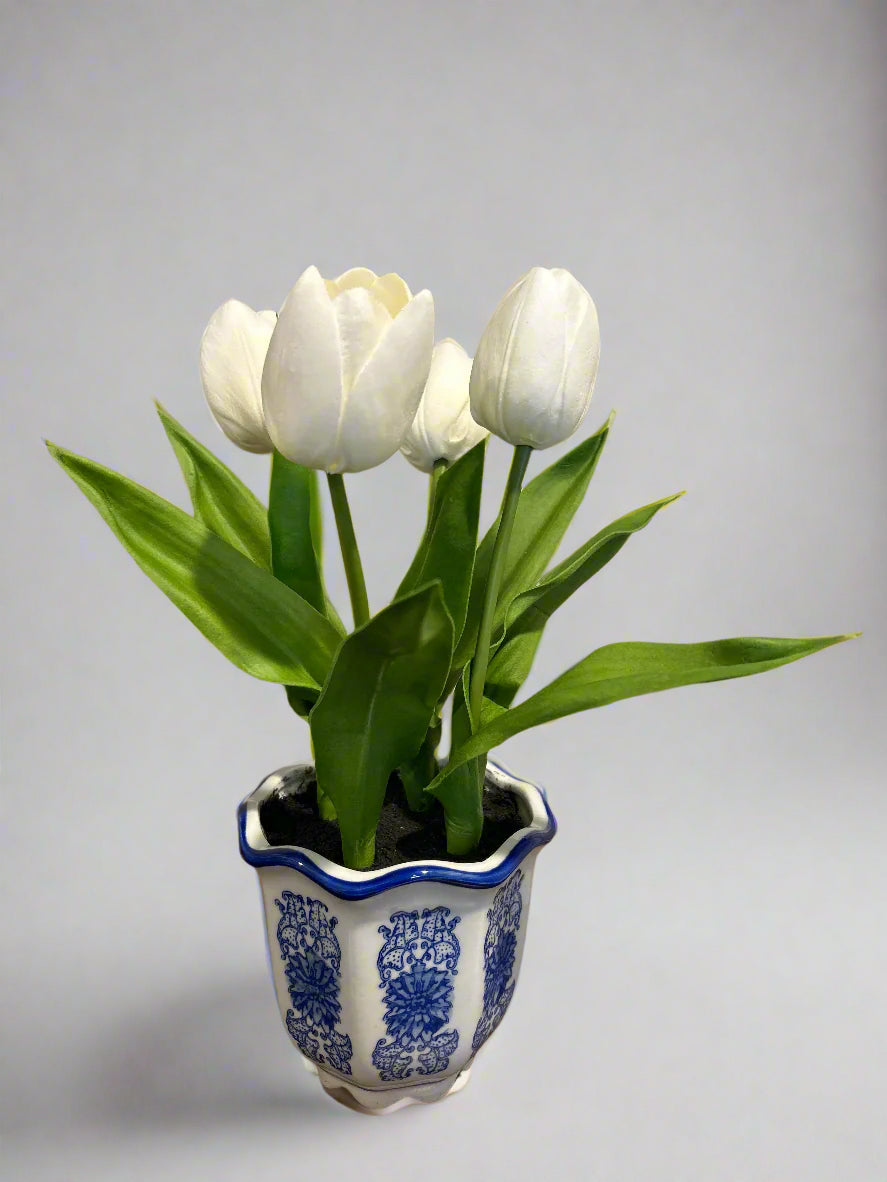 White Tulips in Ginger Jar