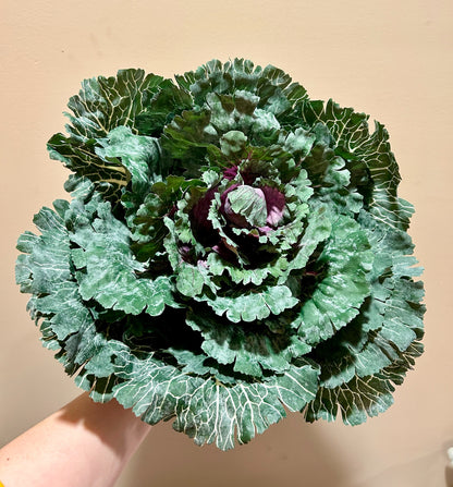 Cabbage Greenery Pick